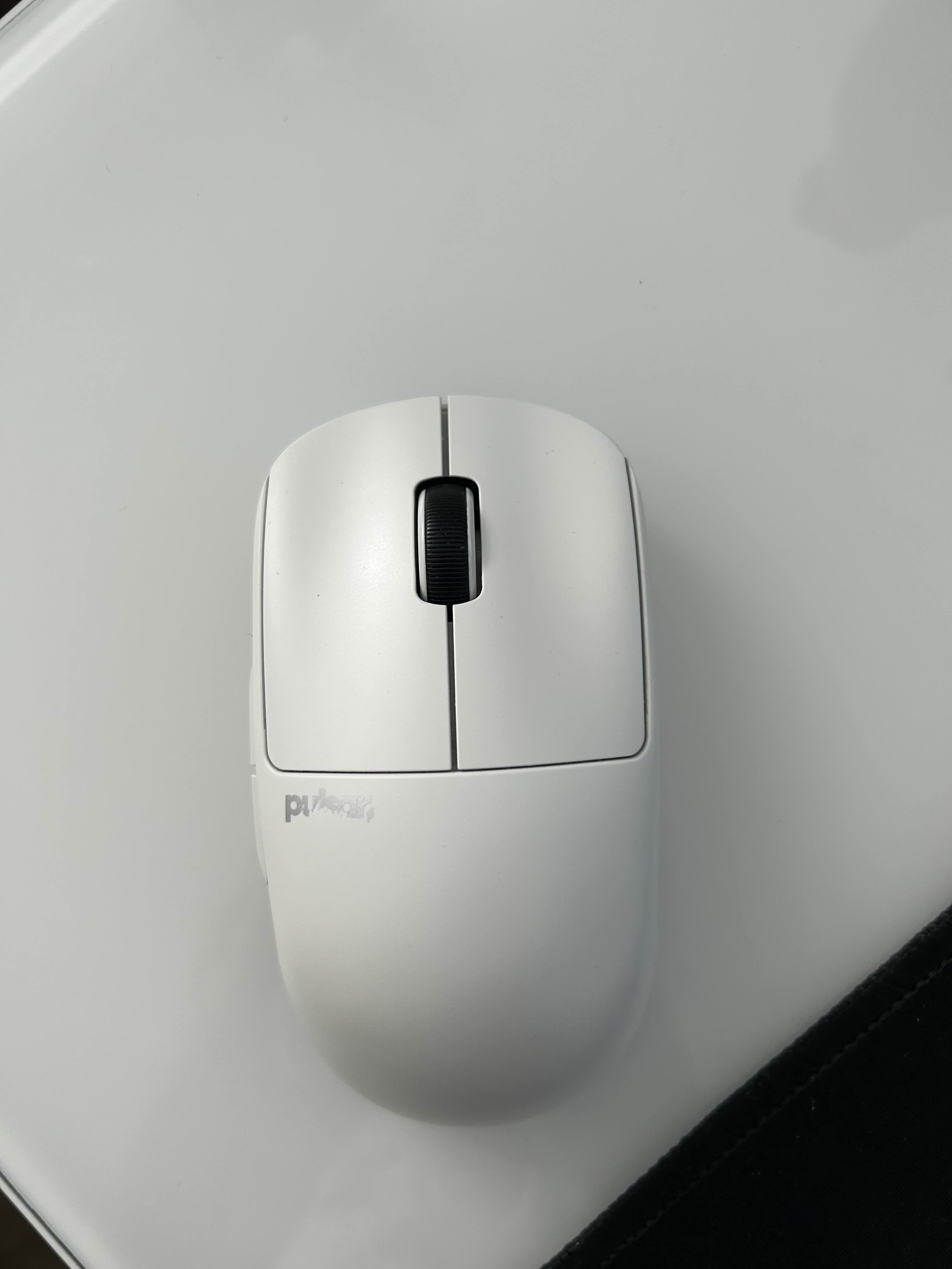computer mouse