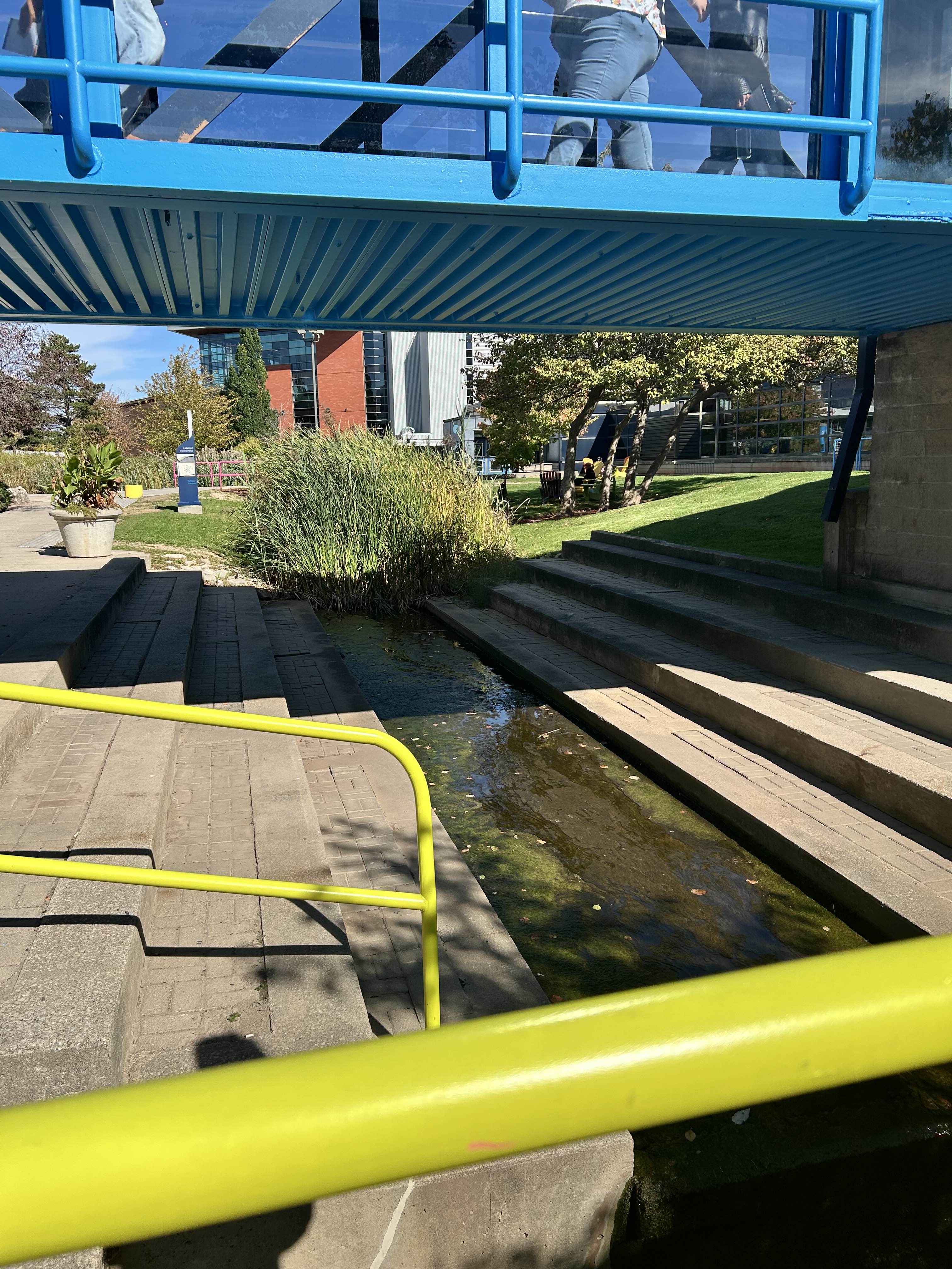 Under C wing (B wing?) Bridge